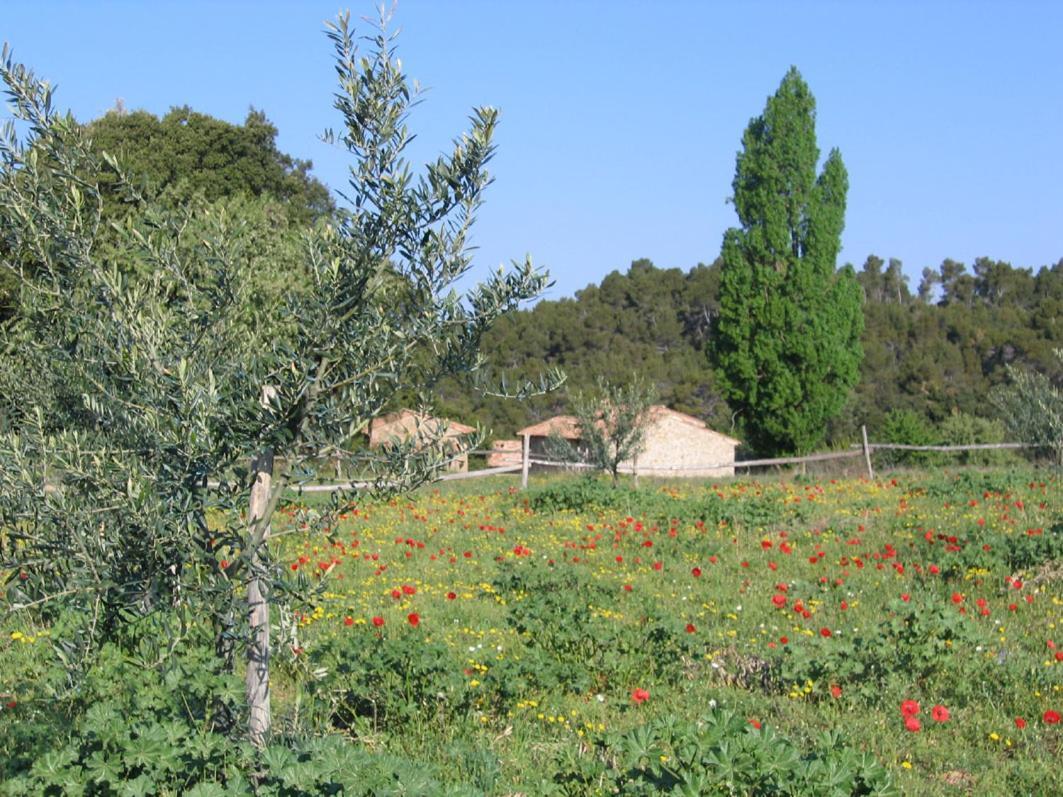 Gites De Fontroussiere Flayosc المظهر الخارجي الصورة